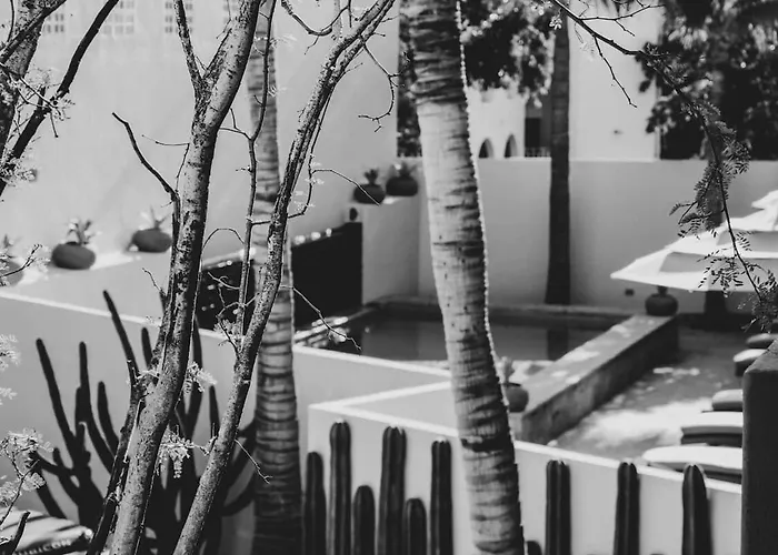 3 Incredible King In Boutique San Jose del Cabo